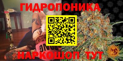 первитин Заводоуковск