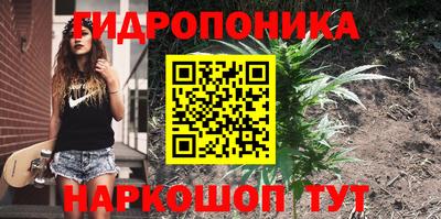 МДПВ Заволжье